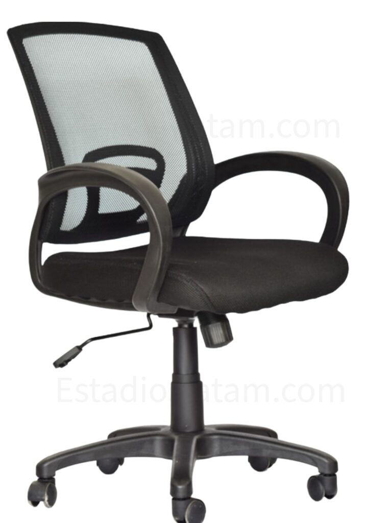 Sillas Ergonómicas 2 silla Atlantis nylon