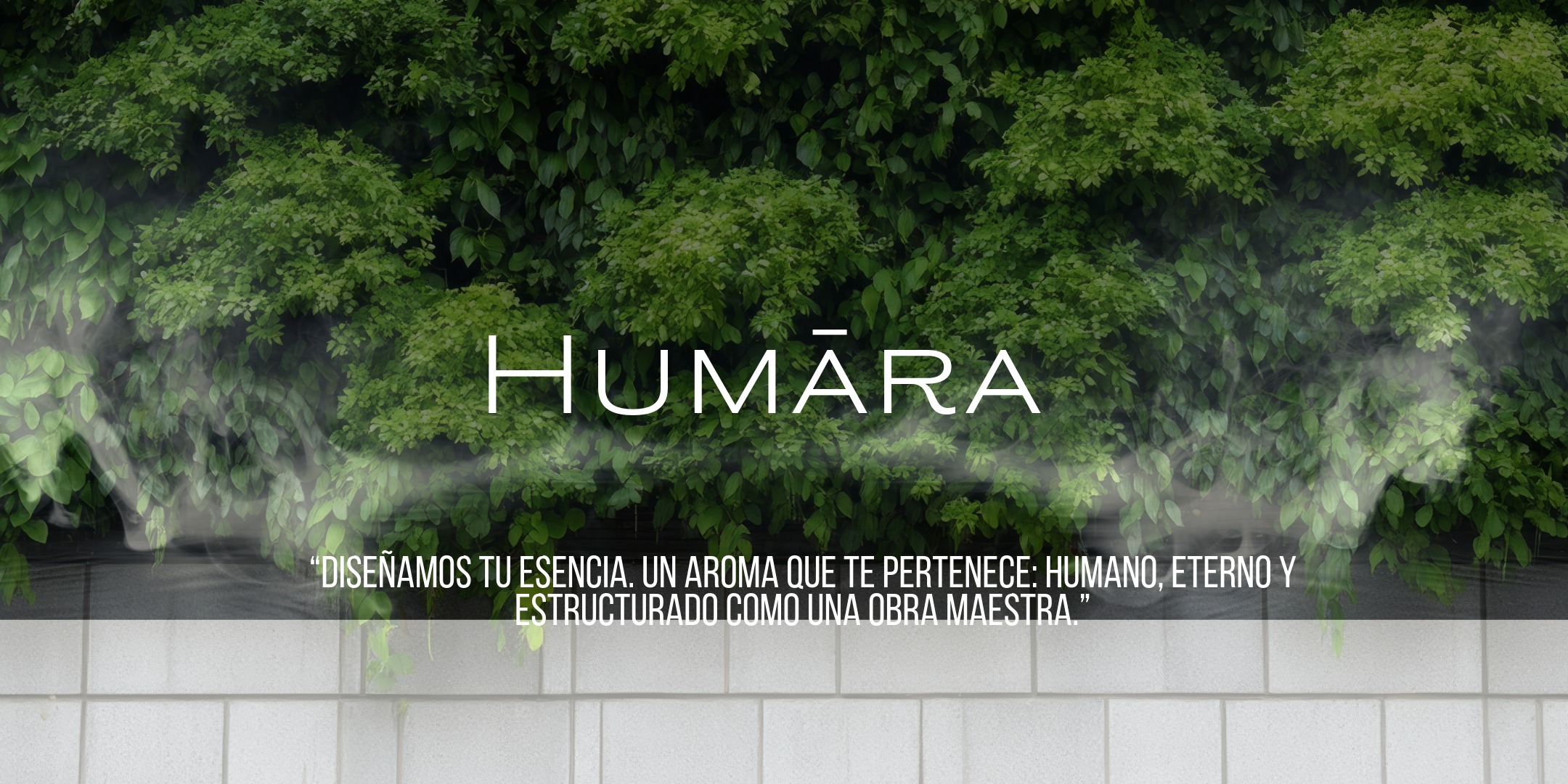 Humára / Odotipo empresarial