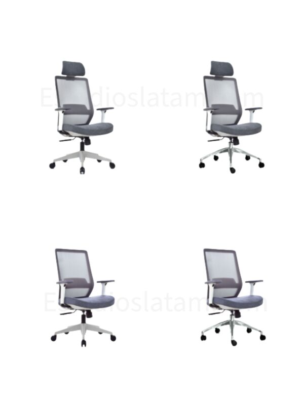 SILLA VICK ERGONOMICA