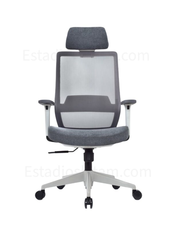 SILLA VICK ERGONOMICA