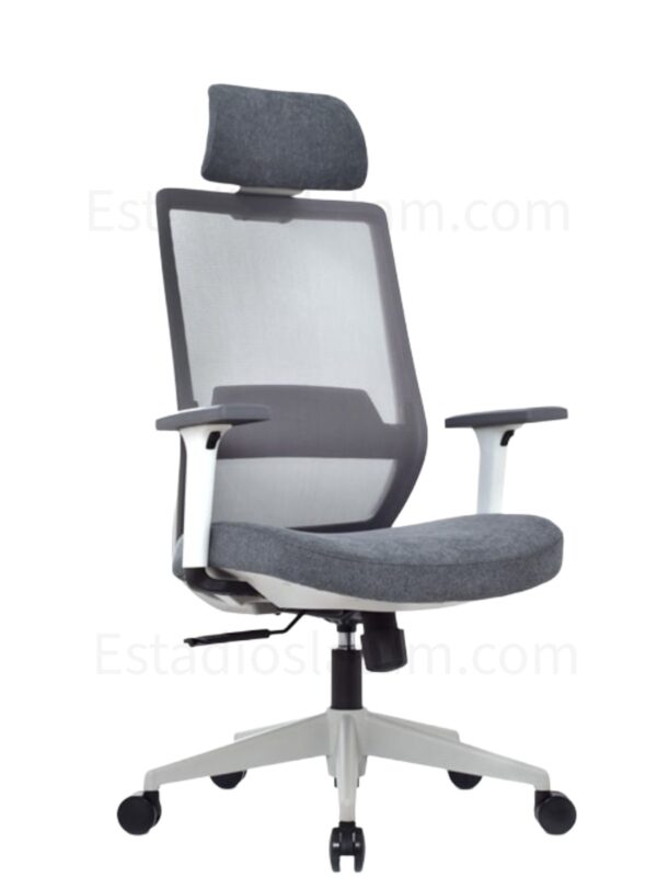 SILLA VICK ERGONOMICA