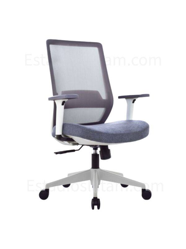 SILLA VICK ERGONOMICA